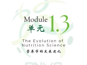 Module 1.3