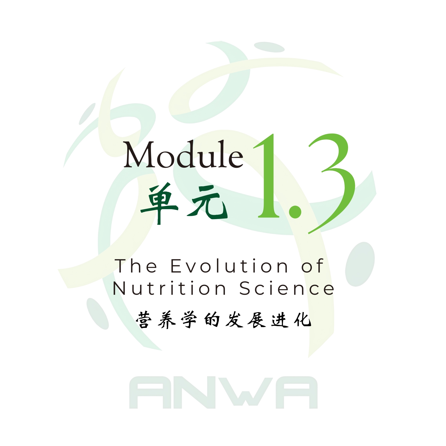 Module 1.3
