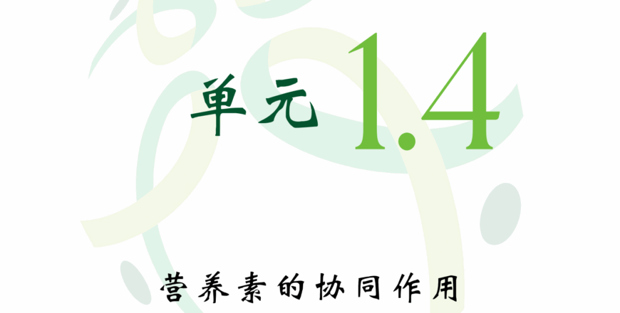 圖片_20250510201321