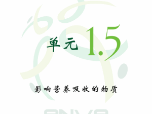 圖片_20250510201336