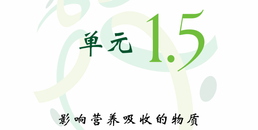 圖片_20250510201336